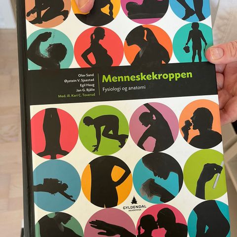 Menneskekroppen