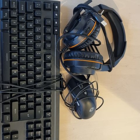 Selger headset/mus/tastatur billig - hentes raskt