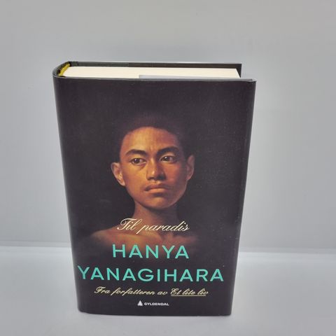 Til paradis - Hanya Yanagihara