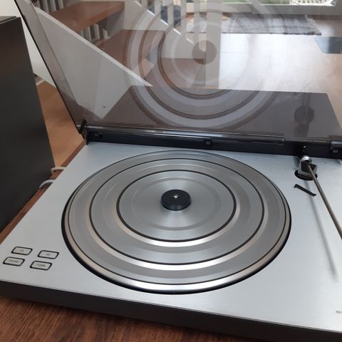 BANG OG OLUFSON