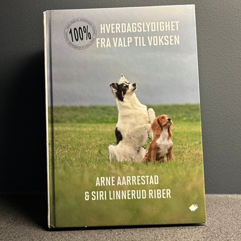 Hverdagslydighet fra valp til voksen