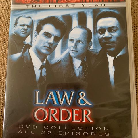 LAW AND ORDER - THE FIRST YEAR 22 episoder