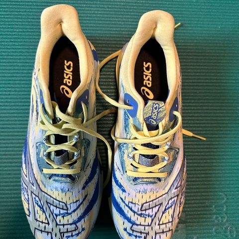 Asics noosa tri 15 str 43,5