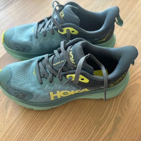 Hoka challenger atr