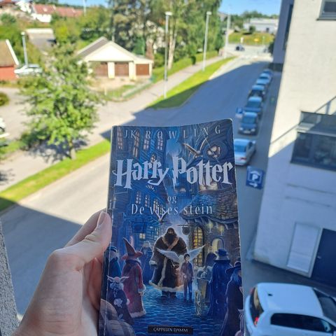 Harry Potter og de vises stein