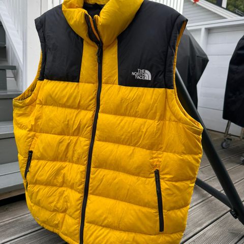 The north face vest