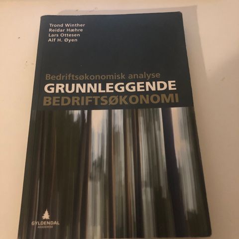 Grunnleggende bedriftsøkonomi