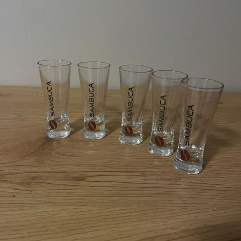 Sambuca Shotglass 5 Stykk