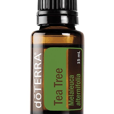 Tea tree