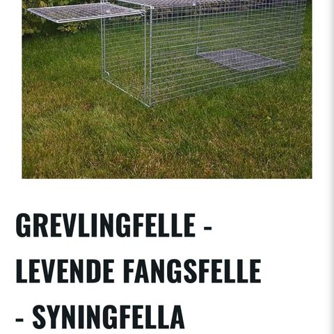 Grevlingfelle