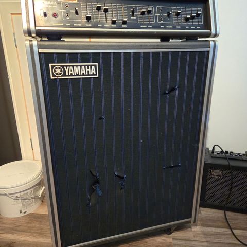 Yamaha PE-200 og TS-200  4x12"