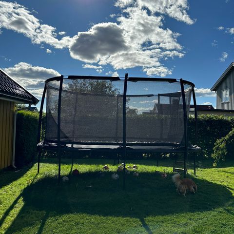 North Explorer Trampoline