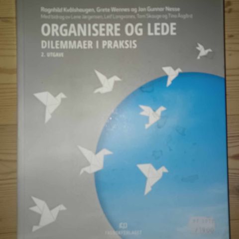 Organisere og lede - dilemmaer i praksis