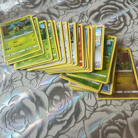 100 Pokemon kort