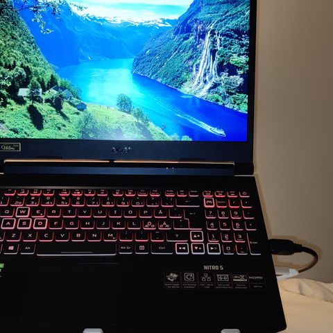 Acer Nitro 5 | RTX 3070, R7 5800H, 32GB, 2TB