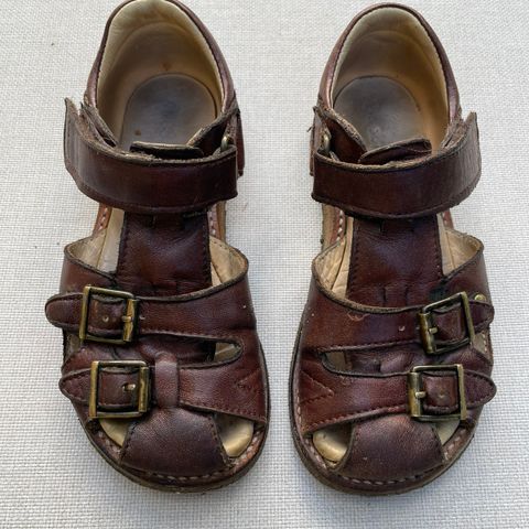 Angulus sandal 28