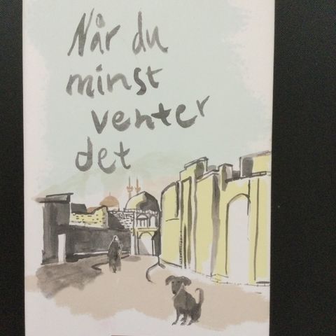 Tor Åge Bringsværd: Når du minst venter det