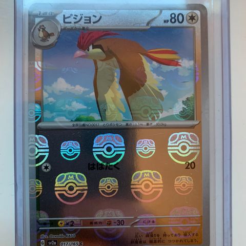 Pokemon kort - 151 Pidgeotto Masterball