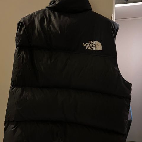 The North Face dunvest