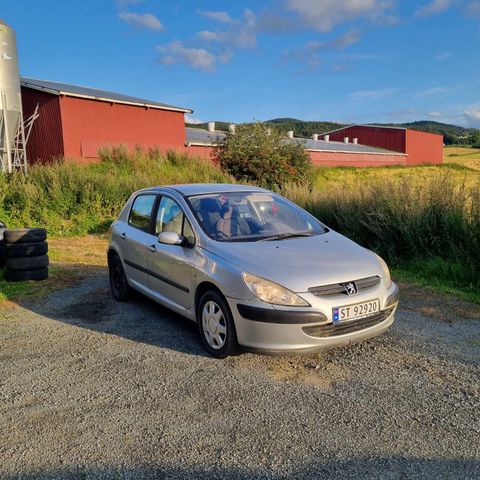 Peugeot 307 delebil