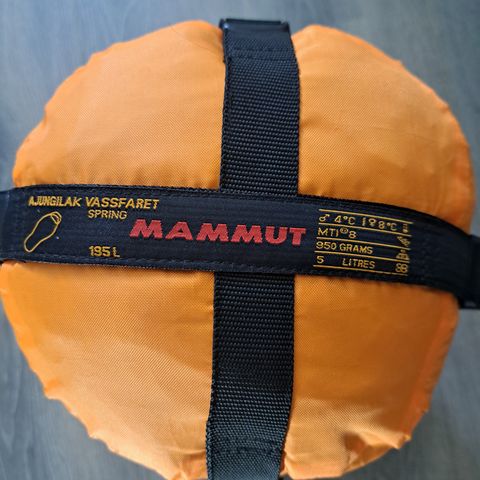 Mammut Ajungilak Vassfaret Spring