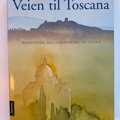 Veien til Toscana kunstbyer mellom Ferrara og Lucca Bok