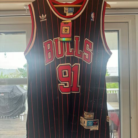 Chicago Bulls Rodman drakt