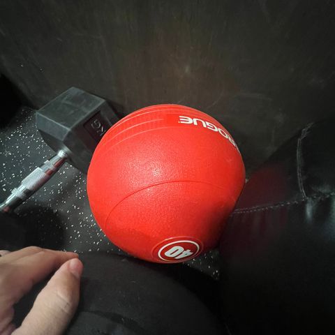 Rogue Fitness Slam Ball 40 lbs