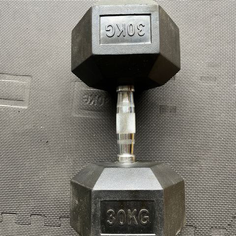 30 kg dumbbell - manual