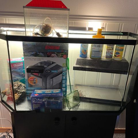 250 l akvarium m/eheim prof 4+350 pumpe