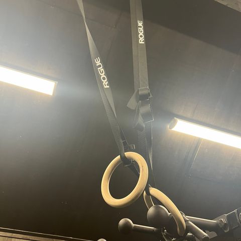 Rogue Fitness Rings