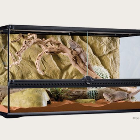 Glassterrarium Natural Large/Bred - 90 x 45 x 30 cm