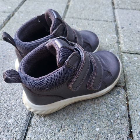 Ecco goretex