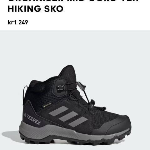 Goretex Adidas sko str 33