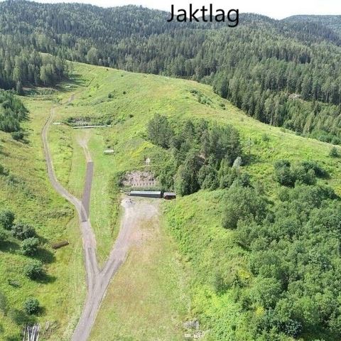 Storviltjakt ønskes leid - gjerne på åremål - Lørenskog Skytterlag Jaktlag