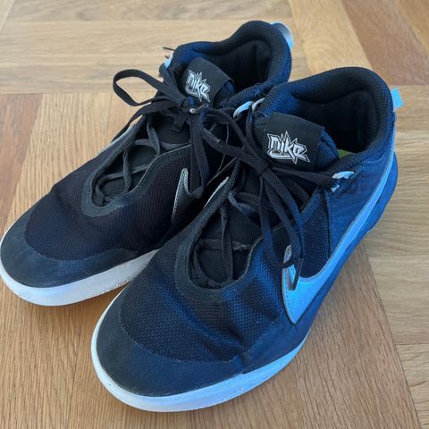 Nike Hustle DX-SU21 basketsko str 38