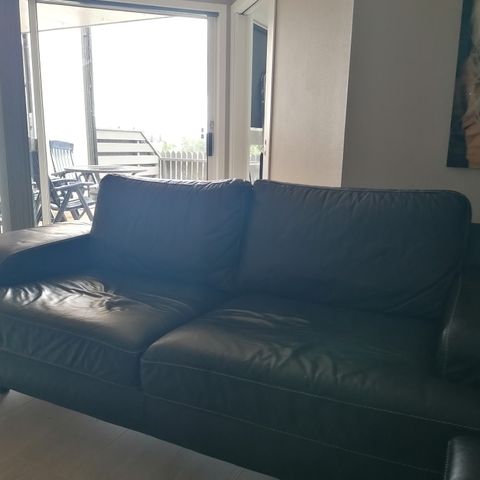 Grei skinn sofa.