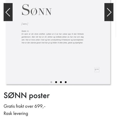 SØNN poster / plakat fra Pictureit, 30 x 40 cm, som ny