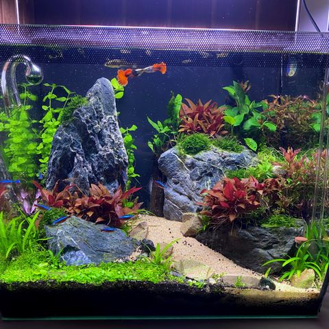 Akvarium Fluval Flex 57l med Twinstar 300E lys