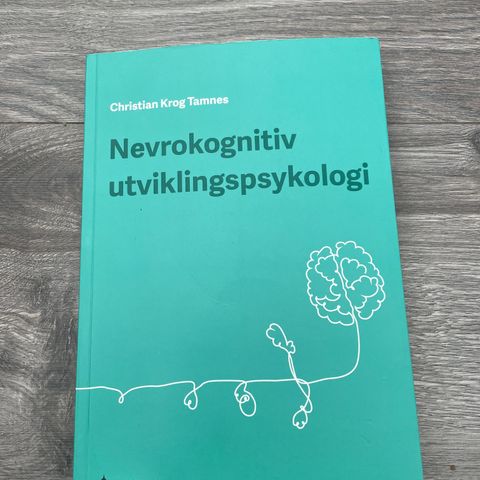 Nevrokognitivt utviklingspsykologi