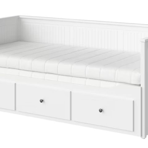 Hemnes dagseng