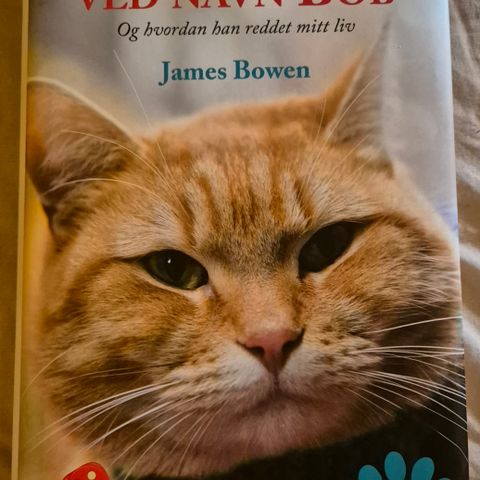 En gatekatt ved navn Bob av James Brown