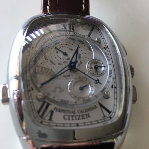 Citizen Campanola Perpetual Calendar