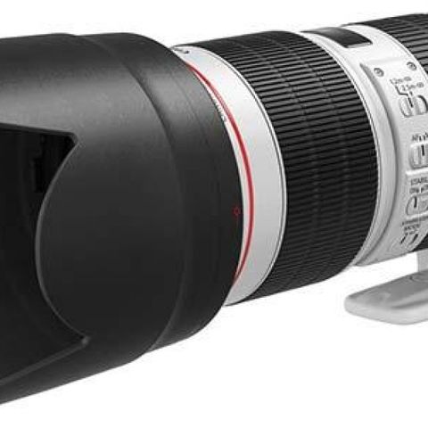 Canon EF 70-200mm f/2.8L IS III USM Lens