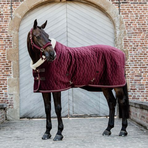 Helt nytt Kentucky velvet show rug!