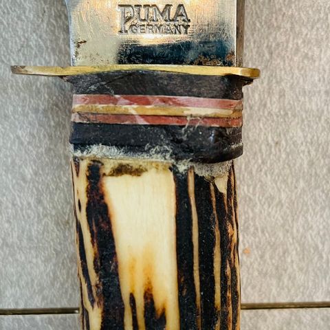 Puma kniv