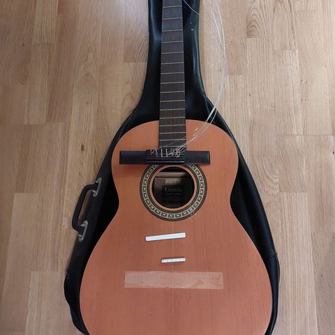 Gitar