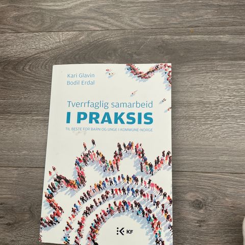 Tverrfaglig samarbeid i praksis