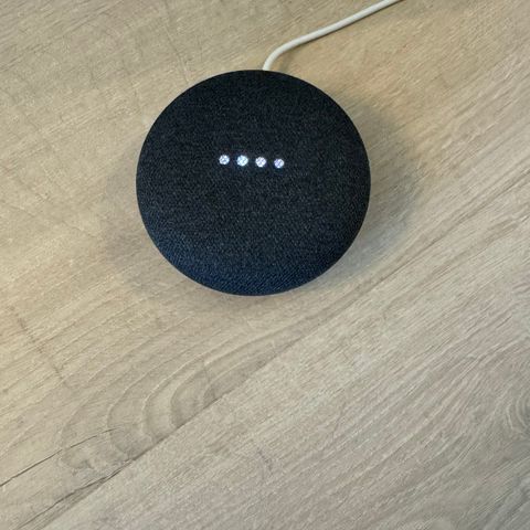 Google Home mini