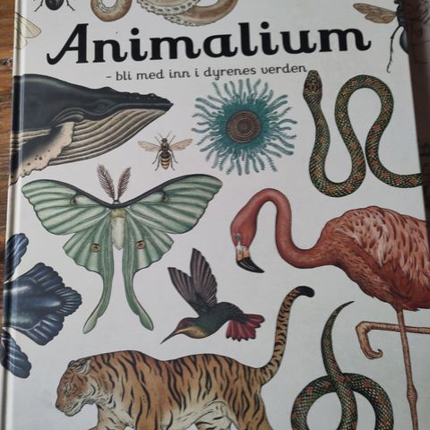 Animalium - bli med inn i dyrenes verden